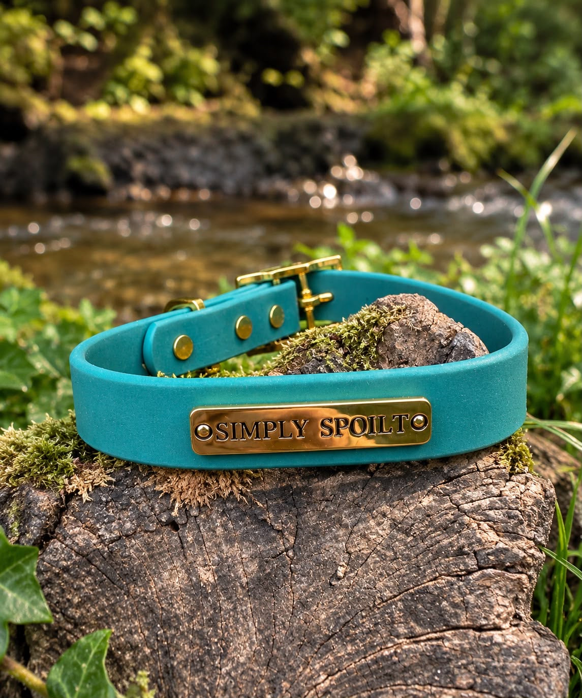 The Signature Lead + Collar Set — Large