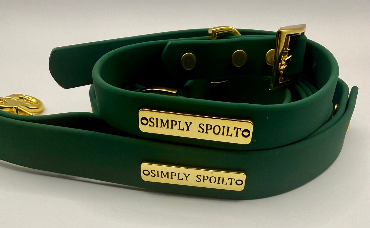 The Signature Lead + Collar Set — Large
