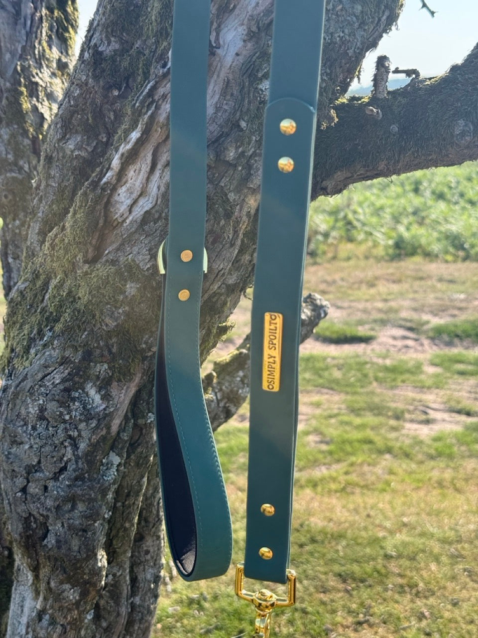The Signature Lead
