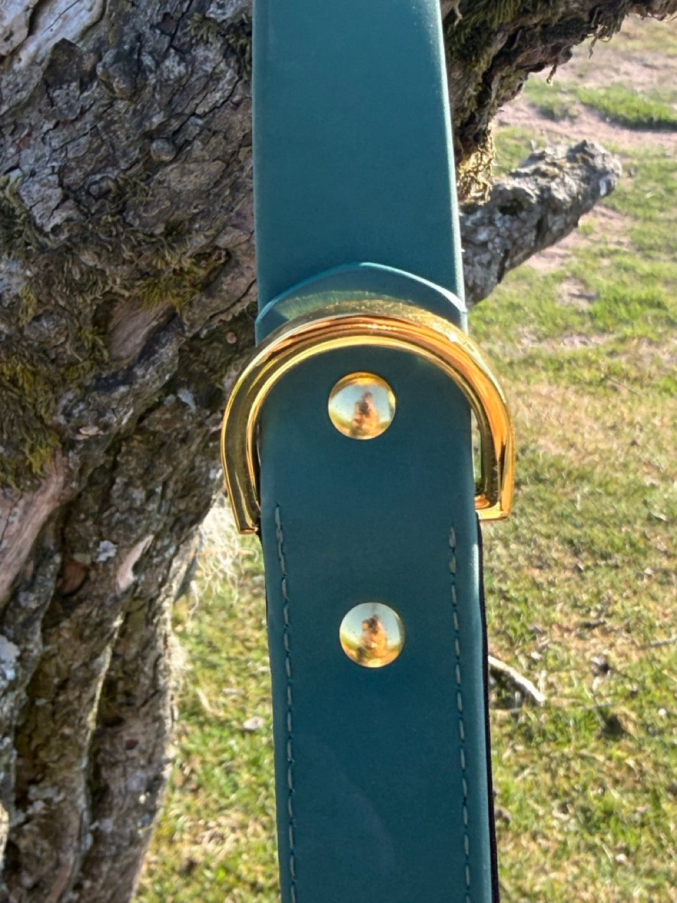 The Signature Lead