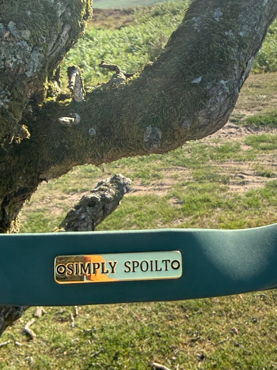 The Signature Lead